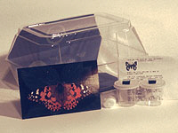 Butterfly Hatching Kit