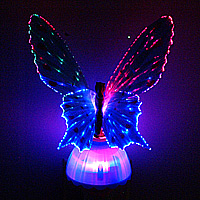 Fiber Optic Night Light